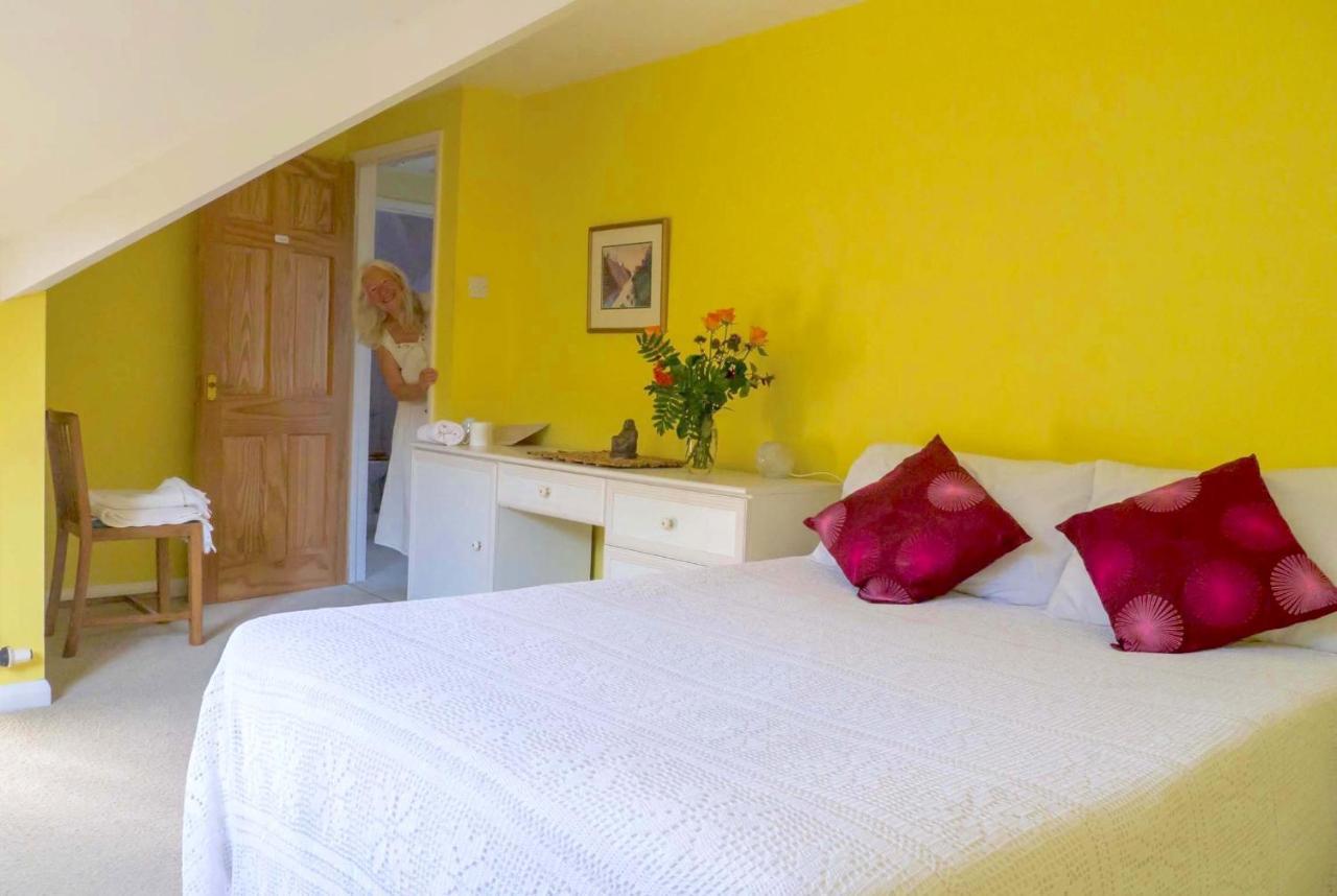 Healing Waters Sanctuary For Exclusive Private Hire And Self Catering Board, Vegetarian, Alcohol & Wifi Free Retreat In Глостънбъри Екстериор снимка