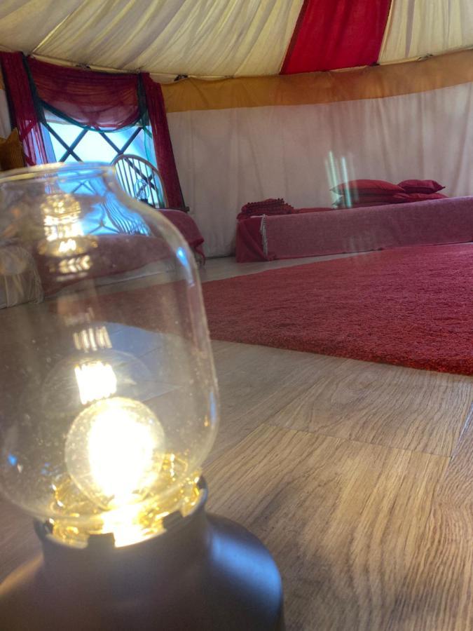 Healing Waters Sanctuary For Exclusive Private Hire And Self Catering Board, Vegetarian, Alcohol & Wifi Free Retreat In Глостънбъри Екстериор снимка