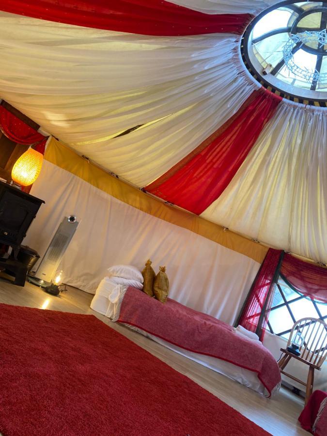 Healing Waters Sanctuary For Exclusive Private Hire And Self Catering Board, Vegetarian, Alcohol & Wifi Free Retreat In Глостънбъри Екстериор снимка