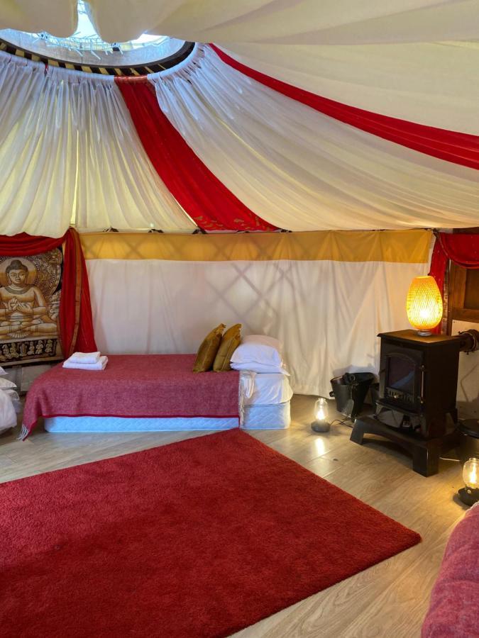 Healing Waters Sanctuary For Exclusive Private Hire And Self Catering Board, Vegetarian, Alcohol & Wifi Free Retreat In Глостънбъри Екстериор снимка