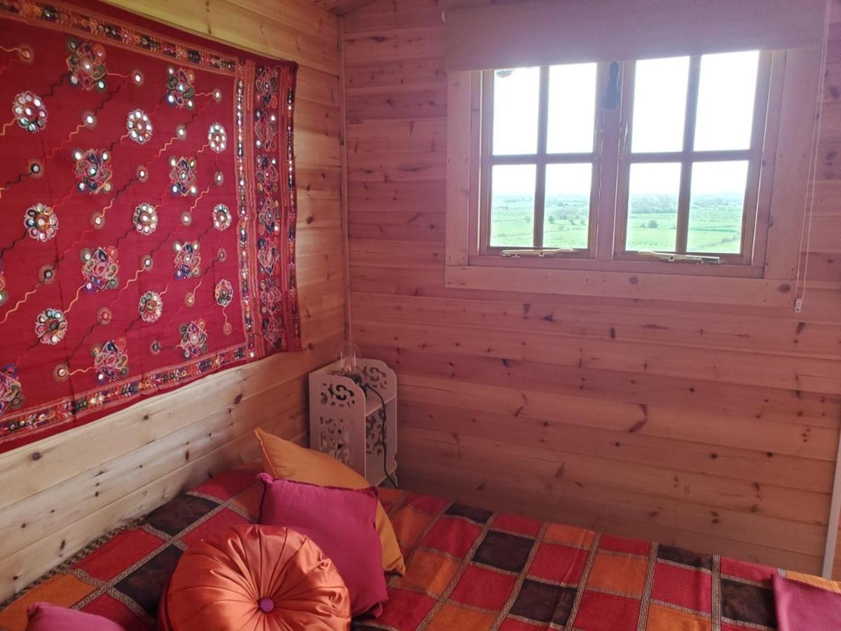 Healing Waters Sanctuary For Exclusive Private Hire And Self Catering Board, Vegetarian, Alcohol & Wifi Free Retreat In Глостънбъри Екстериор снимка